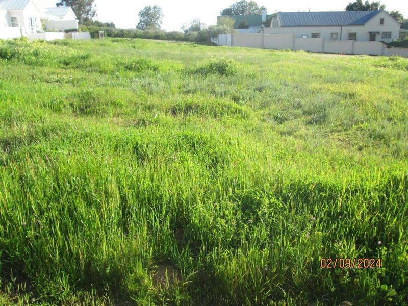 0 Bedroom Property for Sale in Riebeek Kasteel Western Cape
